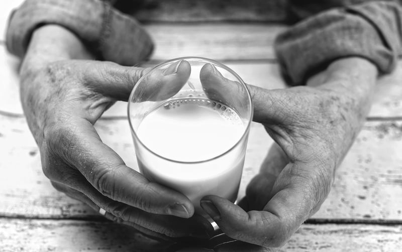 Wellness Lifestyle Articles